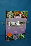 Heilkräuter erkennen und bestimmen