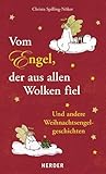 Vom Engel, der aus allen Wolken fiel: Und andere Weihnachtsengelgeschichten