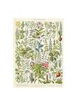 Vintage Antikes Buch Wandkunst Pflanzenillustration Heilkräuter Obst Seetang Baum Pilz Leinwand Malerei Home Decor Geschenk(01,30x40cm No Framed)