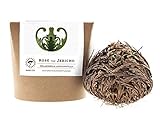 YAKEBA | Rose von Jericho | Klein | Selaginella lepidophylla | Im Geschenkkarton | Perfekte Indoor Pflanze als Deko oder Terrarium/Flaschengarten Zubehör I Jericho Rose