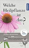Welche Heilpflanze ist das?: Über 350 Heilpflanzen Europas. Mit kostenloser KOSMOS-PLUS-App mit Erklärfilmen zur einfacheren Bestimmung (Kosmos-Naturführer)