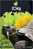 ZOMA Mix Samen für Landschildkröten 6 Heritage mit Löwenzahnklee und Salat, optimale Ernährung für Landschildkröten (1 Beutel à 15 g)