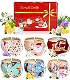 6 Pack Duftkerzen Geschenk Set, Weihnachtsgeschenke für Frauen, Natürliches Sojawachs Aroma Kerzen, Damen Deko Duftkerze, Aromatherapie Zinn Dose Kerzen Set für Weihnachten,Geburtstag