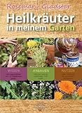 Heilkräuter in meinem Garten: 33 wichtige Heilkräuter selbst anpflanzen, ernten und verwenden