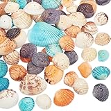 PandaHall Elite ca. 56 Stück gefärbte natürliche Muschelschale Perlen gebohrt kleine Jakobsmuschel Muscheln Ocean Beach Muscheln Craft Charms für Kerze machen Home Decoration Party Hochzeitsdekor