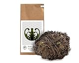 YAKEBA | Rose von Jericho | Groß | Selaginella lepidophylla | Papiertüte | Perfekte Deko Pflanze als Terrarium Zubehör oder für Ihr Flaschengarten Glas | Pflanze ins Glas und schon wird sie grün…