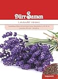 Lavendel Samen Verani Lavendelsamen ca 150 Korn Heilkräuter Kräutersamen Heilpflanze Saatgut Balkon Garten Hochbeet Kübel Dürr Samen