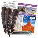 Naturheilmittel Heilsteine Methusalem GmbH Neu-Ulm 3x braune Räucher-Feder 20-25cm + 10 Tabs Premium Räucherkohle für jedes Räucherwerk mit Räucheranleitung & Booklet. 81806-3