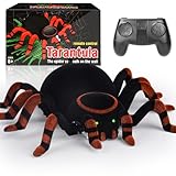 MOMOSTAR 2.4GHZ Ferngesteuerte Spinne Spielzeug Ab 6 Jahre Jungen Mädchen, Kletterwände und Krabbeln Auf Dem Boden Spinne Ferngesteuert Spielzeug 6+ Jahre Mädchen Geschenk Junge 6-12 Jahre