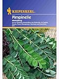 Pimpinelle mehrjährig