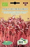 Germisem Amaranth AMARANTHUS MICRO-GREENS, ECBIO1156