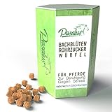 Pasalus Pferde Bachblüten Rohrzuckerwürfel bei Angst, Stress und Schreckhaftigkeit - Für Turnier und Training oder Reisen einsetzbar