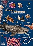 DUMONT Das Museum des Meeres - Kalender 2023 - DuMont-Verlag - mit Illustrationen und vielen Erklärungen - Wandkalender - 50 cm x 70 cm