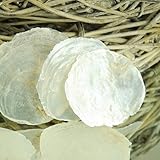 Muscheln - Perlmuttscheiben, Muschel Capiz 250g