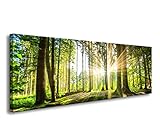 Visario 120 x 40 cm Bild auf Leinwand grüner Wald im Gegenlicht 5730-SCT deutsche Marke und Lager - Die Bilder/das Wandbild/der Kunstdruck ist fertig gerahmt