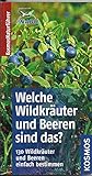 Welche Wildkräuter und Beeren sind das?: Kosmos Basic