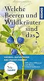 Welche Beeren und Wildkräuter sind das?: 130 essbare Pflanzen und Beeren einfach bestimmen