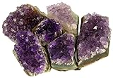 Amethyst Kristalle 6 Stück | 100% reine und natürliche Drusenstücke aus Uruguay & Brasilien | Als Geschenk, Give-away, Dekoration, Heilstein zum Reinigen und Aufladen