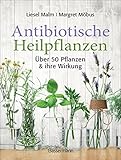 Antibiotische Heilpflanzen: Über 50 Pflanzen und ihre Wirkung
