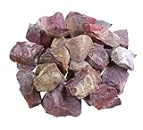 Versteinertes Holz Wassersteine | 100% naturbelassene Rohsteine | 300g Lebensquelle Plus