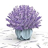 papercrush® Pop-Up Liebeskarte Lavendel - 3D Blumenkarte für Frau und Freundin (Muttertag, Geburtstagskarte, Gute Besserung, Genesung, Dankeskarte), Glückwunschkarte zum Geburtstag für Mama