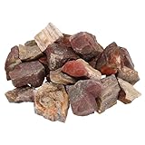 Wassersteine 300g | 100% naturbelassene Edelsteine Heilsteine | Echte unbehandelte Rohsteine für Edelsteinwasser Lebensquelle Plus (Versteinertes Holz)