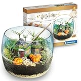 Clementoni Harry Potter Terrarium - Set mit Zubehör für EIN Miniatur Ökosystem - Spielzeug zum Aufziehen von Pflanzen - Baukasten für Potterheads ab 7 Jahren, 19248