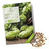BIO Hopfen Samen - Heilkräuter Saatgut aus biologischem Anbau ideal für den heimischen Kräutergarten, Balkon & Garten (40 Korn)