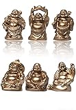 Yudu® 6 stück Verschiedene Buddha Figuren Glücksbringer Fengshui Happy Buddha