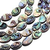 BENECREAT 30 Packungen Natürliche Abalone Muschel Ovale Abalone Muschelperlen mit Aufbewahrungsbehältern für die DIY Schmuckherstellung, 12x8x3mm