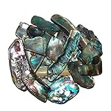 Janni-Shop-Deko & Schönes Paua Shell Muschel 50 Gramm = ca 70-100 kleine Stücke ca. 3-15 mm Seeopal mit herrlichem blauem Farbspiel