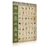 FJQWKLF Heilkräuter und ihre Verwendung Poster, Metallschilder, Wanddekoration, Raumdekoration, 30,5 x 40,6 cm