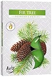 DUFTKERZEN 6ER PACK TEELICHTER, Duft:Tannenbaum