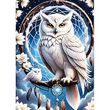 QINRUBB DIY Weiße Eule Diamant Painting Bilder Anfänger, 5D Traumfänger Diamond Painting Erwachsene, Runder Vollbohrer Traumland Eule Diamant Kunst Kits Kreuzstich Home Wand Dekor 30x40 cm