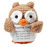 ICEKOOQIU Glücksbringer Geschenk, Positive Eule, Glücksbringer mit Umarmungen, kreative gestrickte Wolle Eule Puppen Spaß Geschenke für Freunde, Familie, Co-Worker, Geschenke für jeden Urlaub