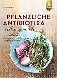 Pflanzliche Antibiotika selbst gemacht: Heilen und vorbeugen mit Gewürzen und Kräutern