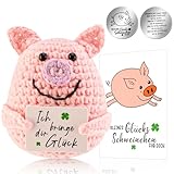 Lvefyti Positive Geschenke Schwein,Pocket Hug Positive Schwein,Strickwolle Schwein Puppe und Kleine Umarmung Glücksbringer,Positive Kartoffel-Ersatz,Glücksbringer Prüfung Geschenk