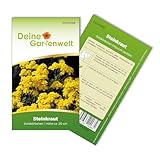 Steinkraut Goldkörbchen Samen - Alyssum saxatile - Bergsteinkrautsamen - Blumensamen - Saatgut für 200 Pflanzen