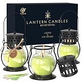 Citronella Kerzen im Glas mit Vintage Laterne - 3 x 3,5 oz Natürliches Sojawachs mit Zitronengras Duft, DEET-freie Outdoor Kerzen für Garten, Balkon & Camping - Retro Design & Umweltfreundlich