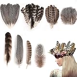Bogoro Bastelfeder Fasan Federn,Feder Truthahnfedern 50 Stück 4 Stil Fasan Feder Schwarze Federn Basteln Hahnfedern Fasanenfeder Deko Federn Groß Für Traumfänger, Ohrring, DIY Basteln, Hochzeit Deko