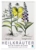 Heilkräuter: Historische Zeichnungen und Stiche (Wandkalender 2026 DIN A4 hoch), CALVENDO Monatskalender
