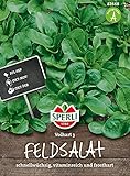 82668 Sperli Premium Feldsalat Samen Vollhart 3 | Extra Frosthart | Ertragreich | Feldsalat Saatgut | Salat Saatgut