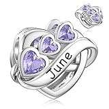 LANBEIDE Juni Geburtsstein Charms, 925 Sterling Silber Infinity Rubin Liebesherz Europäische Perlen Charms für Pandora Armband Halskette Geburtstagsgeschenke