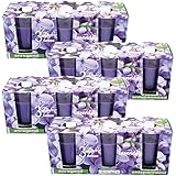 HS Candle Duftkerzen Classic 12er Pack im Glas, lange Brenndauer und angenehmer Duft (Lavendel)