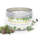 Chandelita Duftkerze mit Kiefer & Eukalyptus für Entspannung & Wohlbefinden – Handgemachte Duftkerzen aus Sojawachs – Vegane Kerze mit Ätherischen Ölen – Aromatherapie Candle – Zirben Kerze