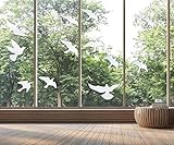 Fensteraufkleber zur Vermeidung von Vogel-Kollisionen Vogel, Glastürschutz und Vogelschutz, 12 Aufkleber (Klar)