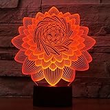Jinson well 3D lotus Blume Lampe optische Illusion Nachtlicht, 7 Farbwechsel Tisch Schreibtisch Dekoration Lampen mit USB Kabel kreatives Spielzeug