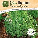 Little Plants BIO Thymian Samen 1000 Sommerthymian Kräutersamen Samenfest für Kräutergarten Kräuter Samen Küchenkräuter für Küche, Balkon und Garten