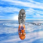 Tiger spiegelt sich im Wasser - Das Spiegelgesetz.