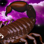 Was kommt vor Sternzeichen Skorpion?